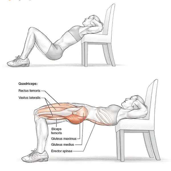 Bài tập phát triển mông Hip Thrust