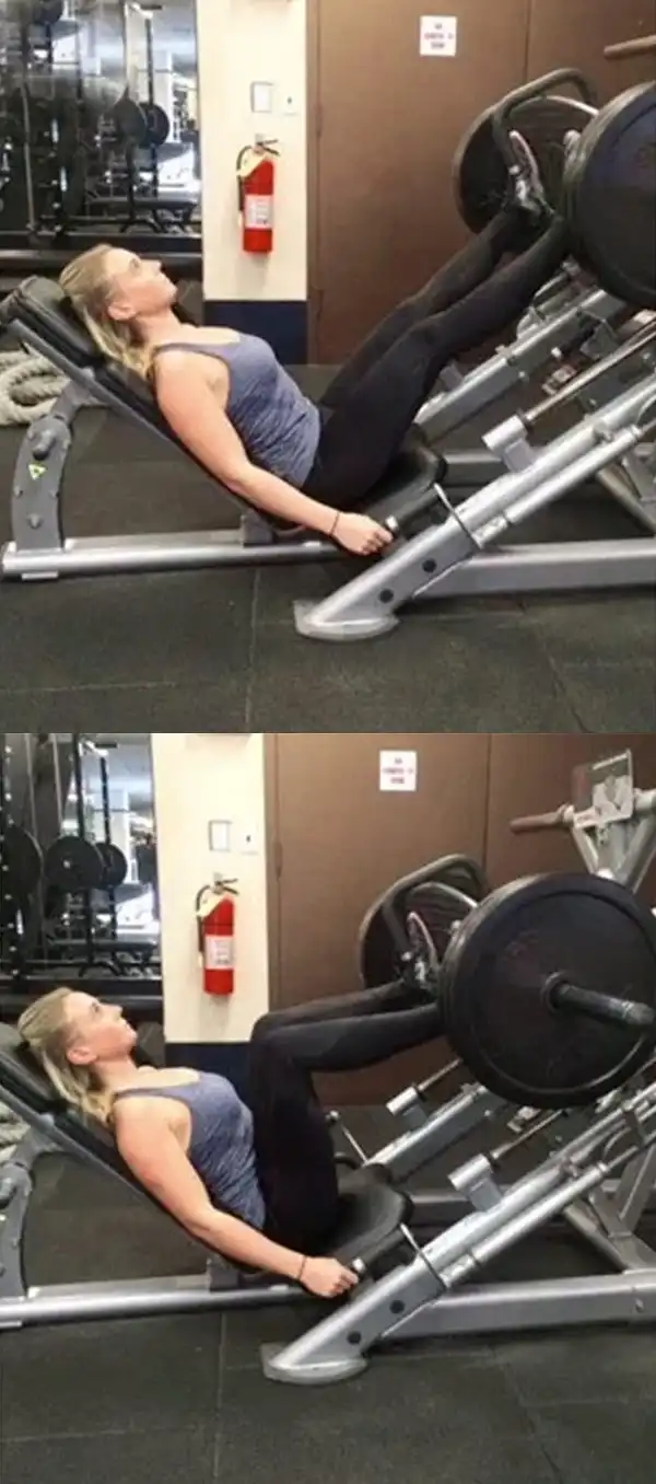 Bài tập phát triển mông Leg press