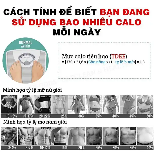Bạn có biết 1 ngày mình đang dùng bao nhiêu Calo không Bạn có biết 1 ngày mình đang dùng bao nhiêu Calo không