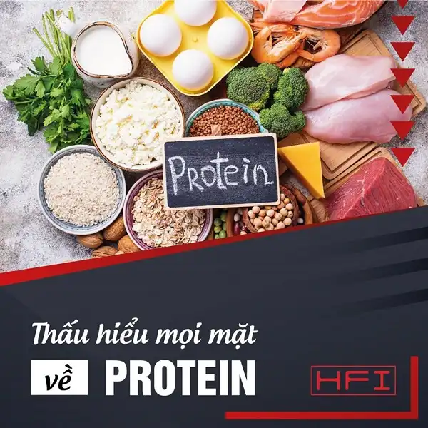 Bạn có thực sự hiểu vai trò của Protein trong tập luyện gym thể hình Bạn có thực sự hiểu vai trò của Protein trong tập luyện gym thể hình
