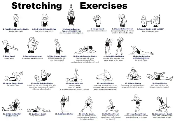 Bạn đã biết rõ về các hình thức Stretching chưa