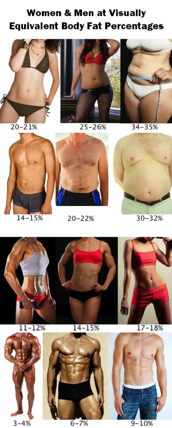 Bạn đang có %bodyfat là bao nhiêu