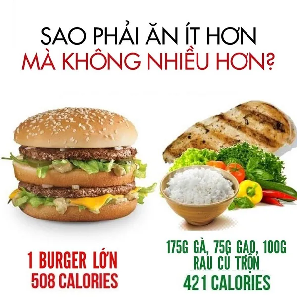 Bạn muốn ăn ít hơn và đói nhanh hơn hay ăn nhiều hơn mà no lâu hơn Bạn muốn ăn ít hơn và đói nhanh hơn hay ăn nhiều hơn mà no lâu hơn