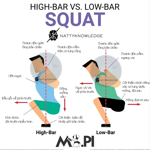 Mấu chốt quan trọng nhất trong khi Squat là phải nắm vững kỹ thuật Mấu chốt quan trọng nhất trong khi Squat là phải nắm vững kỹ thuật