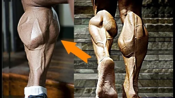 Bắp chân to giúp cân đối cơ thể tốt hơn Bắp chân to giúp cân đối cơ thể tốt hơn