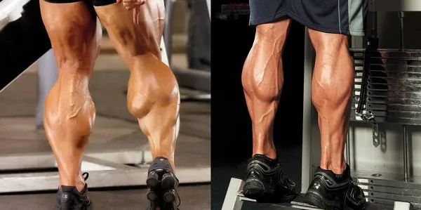 Bắp chuối là nhóm cơ khó phát triển nhất Bắp chuối là nhóm cơ khó phát triển nhất