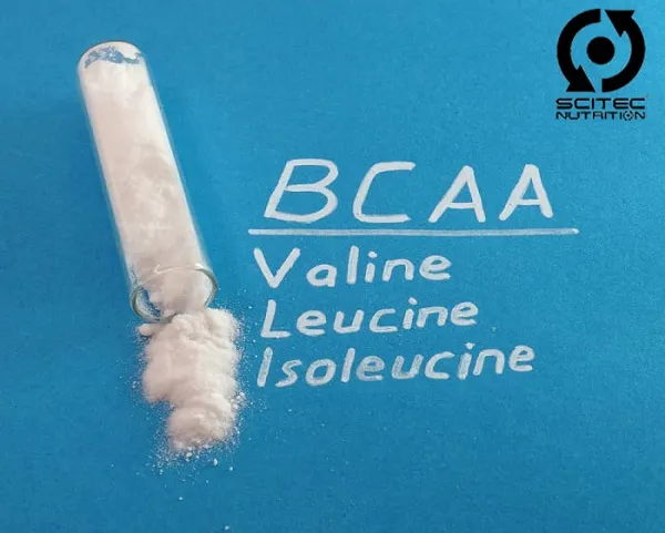 BCAA là gì và lợi ích của việc dùng BCAA BCAA là gì và lợi ích của việc dùng BCAA
