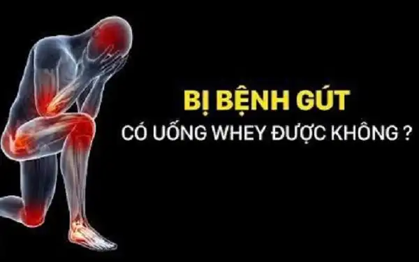 Bệnh Gout có sử dụng Whey Protein được không