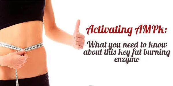 Berberine kích hoạt một protein gọi là AMPK Berberine kích hoạt một protein gọi là AMPK