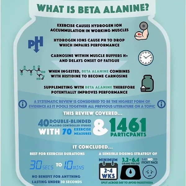 Beta Alanine là gì và vì sao nên dùng nó trong tập luyện tạo sức mạnh và sức bền