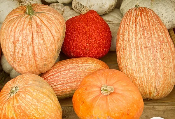 Bí đỏ có 1 lượng lớn beta-carotene và vitamin C rất tốt cho thị lực và làm đẹp làn da Bí đỏ có 1 lượng lớn beta-carotene và vitamin C rất tốt cho thị lực và làm đẹp làn da