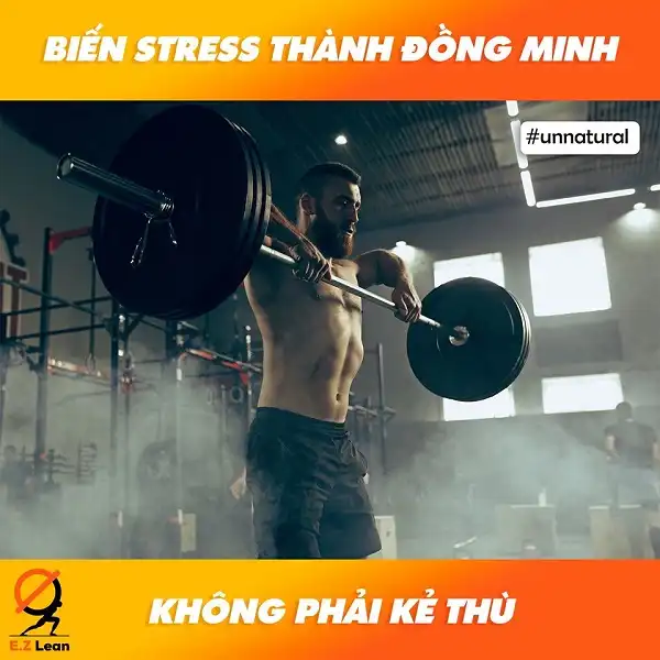 Biến Stress thành đồng minh không phải kẻ thù Biến Stress thành đồng minh không phải kẻ thù