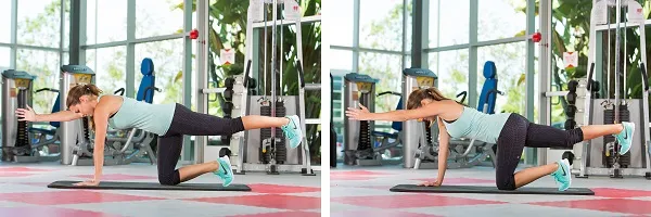 Bài tập Bird-dog Bài tập Bird-dog