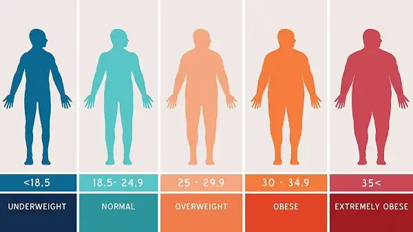 Về cơ bản thì chỉ số BMI càng cao thì bạn càng bị béo phì