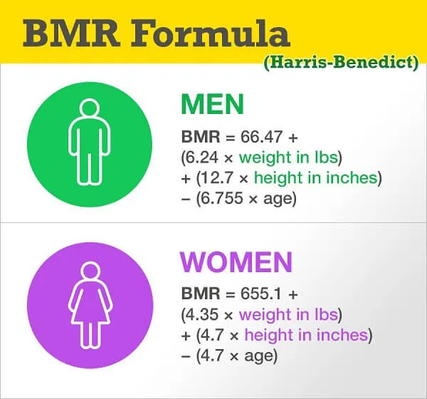 Tham khảo cách tính BMR cho nam và nữ
