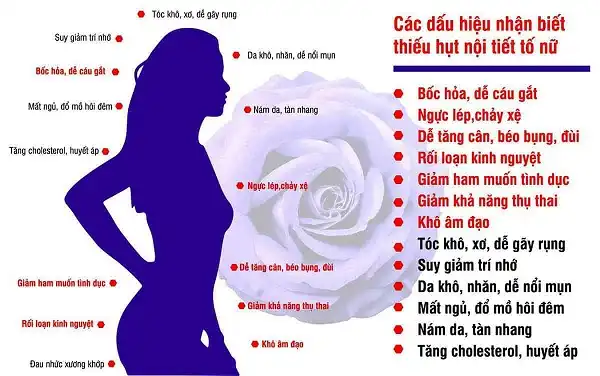 Các dấu hiệu và hậu quả của việc thiếu Estrogen Các dấu hiệu và hậu quả của việc thiếu Estrogen