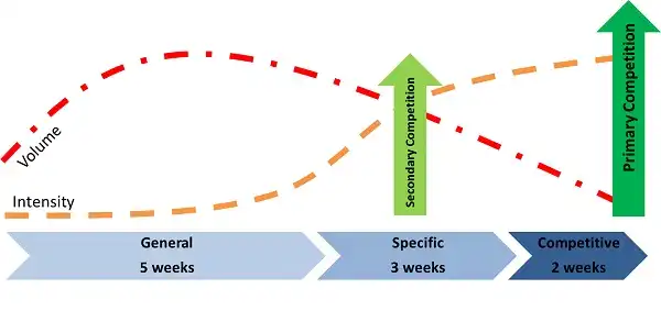 Các giai đoạn của Block Periodization Các giai đoạn của Block Periodization