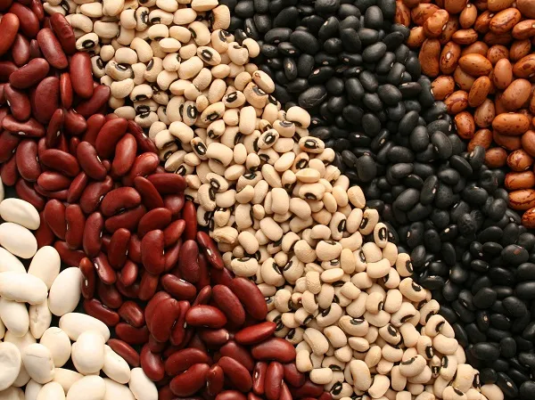 Ăn đậu có thể giảm đường huyết, cải thiện mức Cholesterol và bảo vệ đường ruột Ăn đậu có thể giảm đường huyết, cải thiện mức Cholesterol và bảo vệ đường ruột