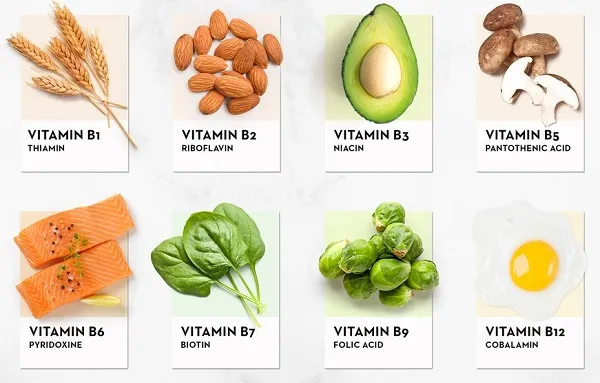 Các loại Vitamin B rất cần thiết cho sức mạnh cơ bắp