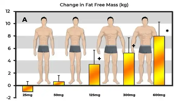 Các thực phẩm tăng cường sản sinh Testosterone
