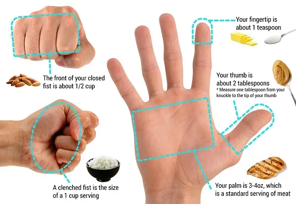 Cách giảm cân không cần tính Calo mà chỉ dùng bàn tay Cách giảm cân không cần tính Calo mà chỉ dùng bàn tay