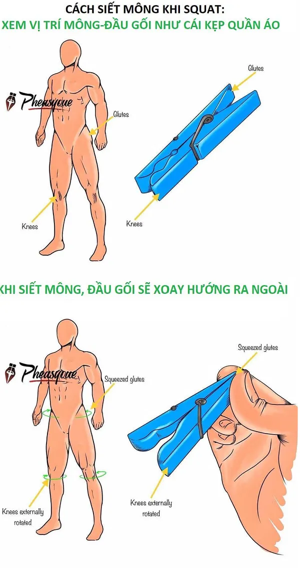 Cách siết mông khi tập Squat Cách siết mông khi tập Squat