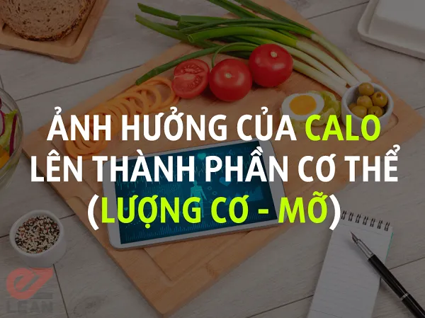 Calo và thành phần cơ thể Calo và thành phần cơ thể