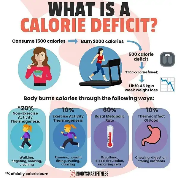 Calorie Deficit là gì và Calo được đốt cháy hằng ngày như thế nào Calorie Deficit là gì và Calo được đốt cháy hằng ngày như thế nào