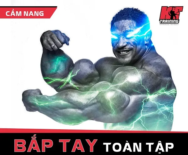 Cẩm nang bắp tay toàn tập