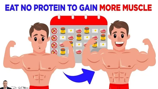 Càng nạp nhiều Protein, cơ bắp sẽ càng phát triển