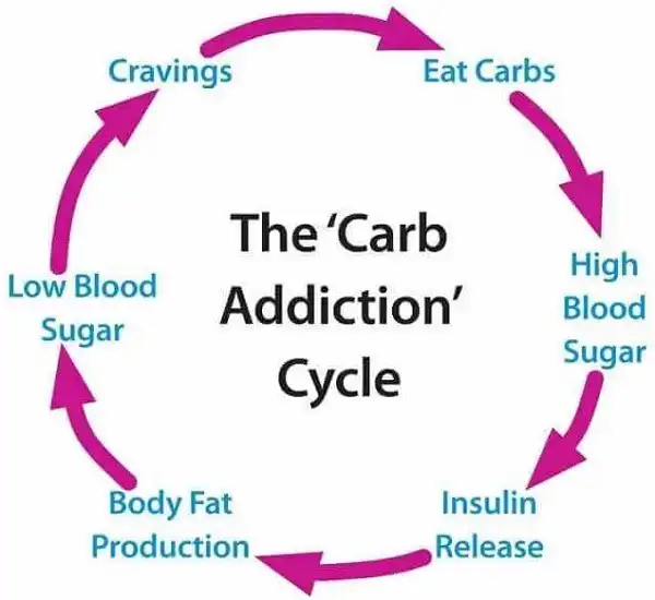 Carb cycle cẩn thận theo lịch tập luyện gym thể hình Carb cycle cẩn thận theo lịch tập luyện gym thể hình