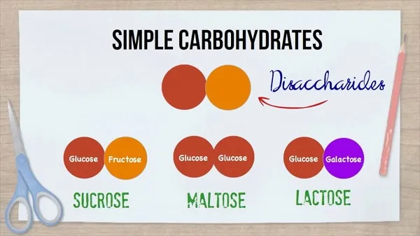 Carbohydrate là các phân tử lớn được phân loại thành 3 nhóm Carbohydrate là các phân tử lớn được phân loại thành 3 nhóm