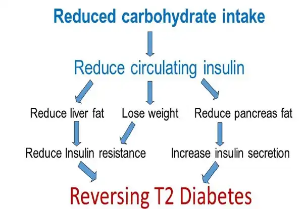 Cắt Carbs đột ngột hay hoàn toàn có thể dẫn đến bệnh tiểu đường Type 2 Cắt Carbs đột ngột hay hoàn toàn có thể dẫn đến bệnh tiểu đường Type 2