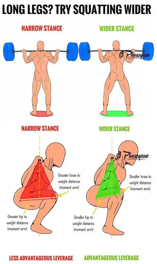 Chân dài sẽ thực hiện kỹ thuật Squat khác với người chân ngắn