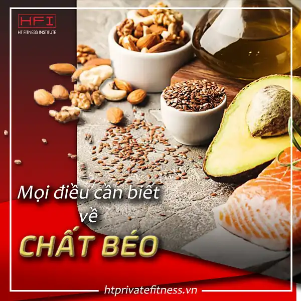 Chất béo là gì và vì sao đừng sợ chất béo Chất béo là gì và vì sao đừng sợ chất béo
