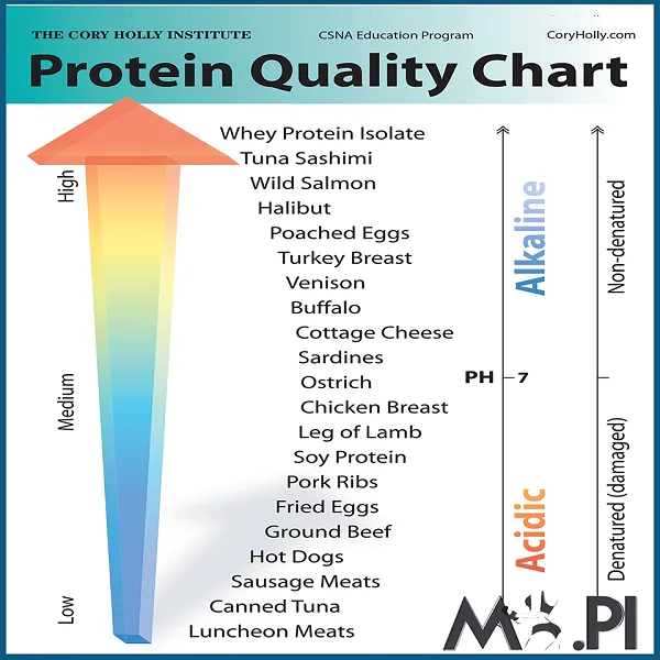 Chất lượng Protein trong các loại thực phẩm Chất lượng Protein trong các loại thực phẩm