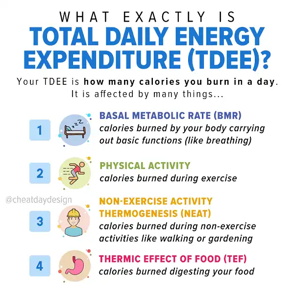 Chính xác TDEE là gì thì xem hình nầy