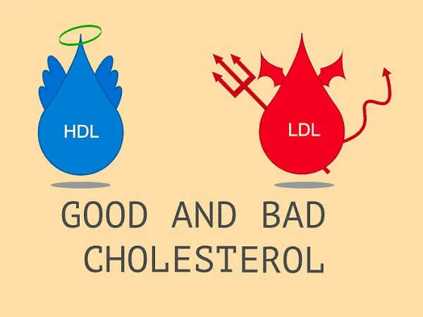 Cholesterol xấu hay tốt là còn tùy HDL và LDL Cholesterol xấu hay tốt là còn tùy HDL và LDL