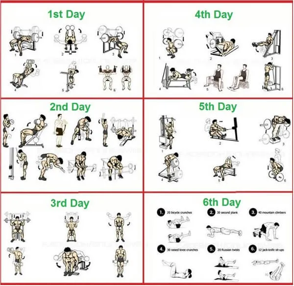 Chọn giáo án tập phù hợp là cả 1 vấn đề không đơn giản