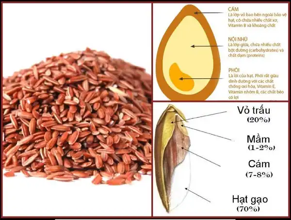 Chuyện gạo lứt, muối vừng và thực dưỡng