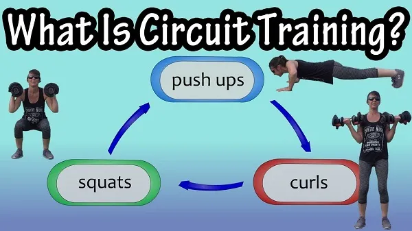 Circuit Training là gì và vì sau chúng ta cần tập luyện xoay vòng Circuit Training là gì và vì sau chúng ta cần tập luyện xoay vòng