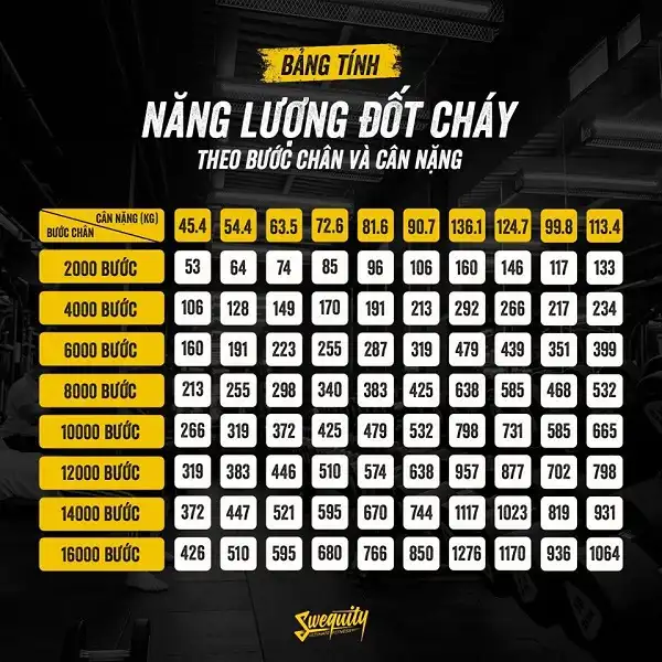 Chúng ta có thực sự cần đi đủ 10.000 bước mỗi ngày để khỏe mạnh