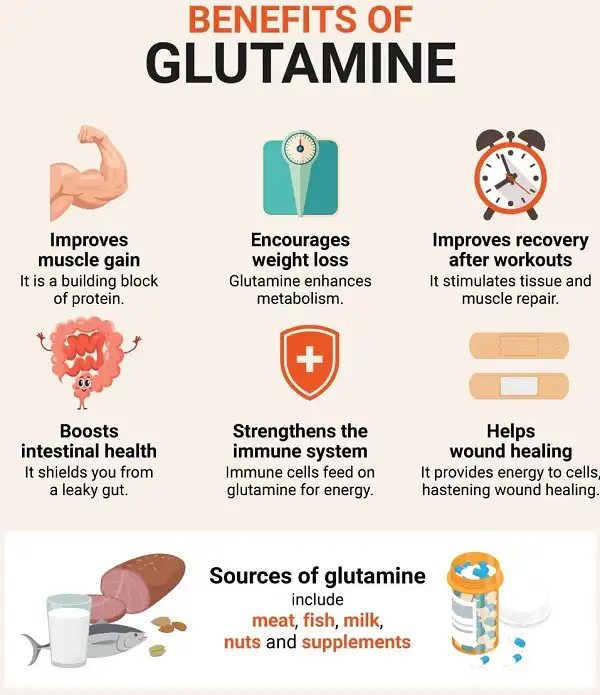 Có điều kiện thì uống bổ sung thêm Glutamine