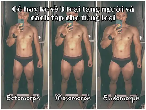 Có hay không 3 loại tạng người - câu trả lời là không Có hay không 3 loại tạng người - câu trả lời là không