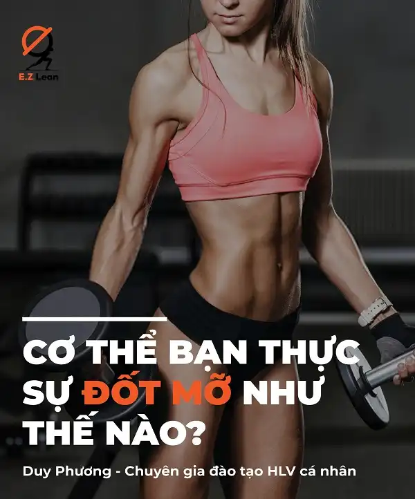 Cơ thể thực sự đốt mỡ như thế nào