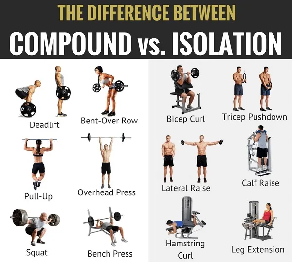 Sự khác biệt giữa bài Compound Lift và Isolation Exercise Sự khác biệt giữa bài Compound Lift và Isolation Exercise