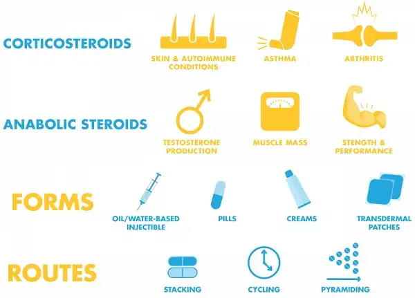 Công dụng và cách dùng căn bảng của Steroid Công dụng và cách dùng căn bảng của Steroid