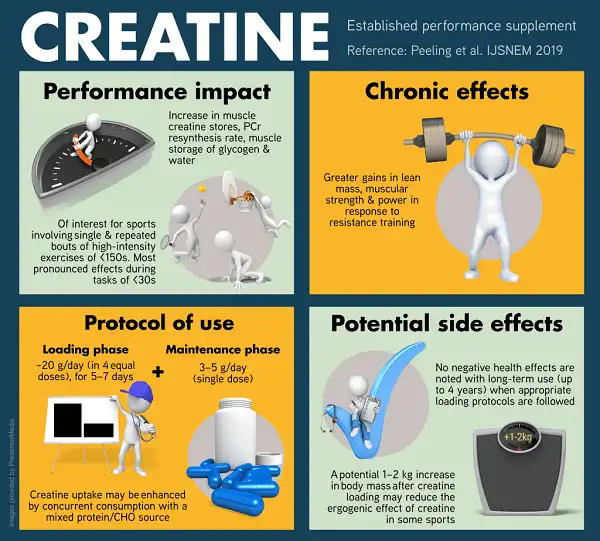 Bổ xung Creatine để hạn chế mất cơ bắp