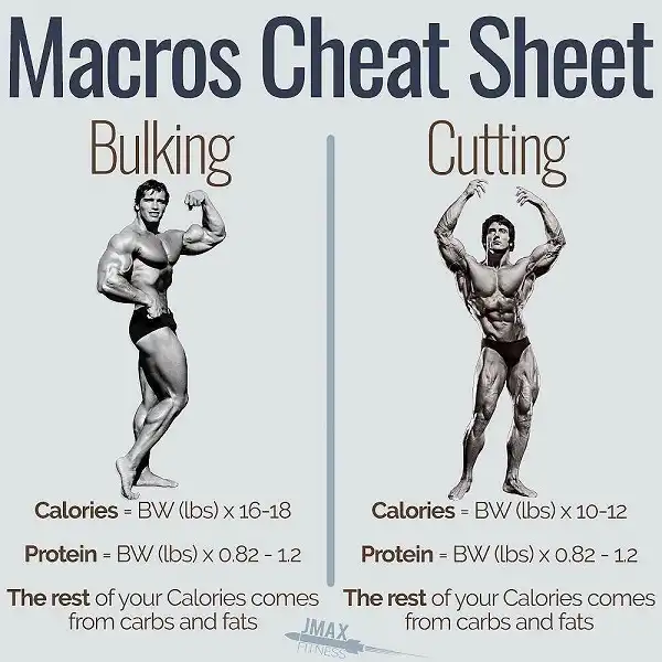 Bulking hay Cutting cần phải khoa học và hợp với cơ thể Bulking hay Cutting cần phải khoa học và hợp với cơ thể