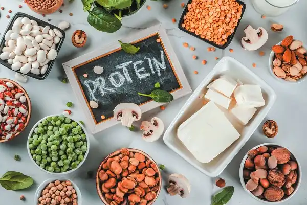 Đa dạng nguồn Protein sẽ tốt hơn cho bạn Đa dạng nguồn Protein sẽ tốt hơn cho bạn
